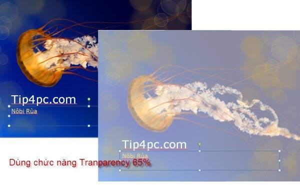 Tự soạn bài thuyết trình với PowerPoint 2007 (phần 8)