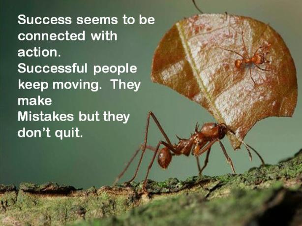 success-seems-to-be-connected-with-action-successful-people-keep-moving