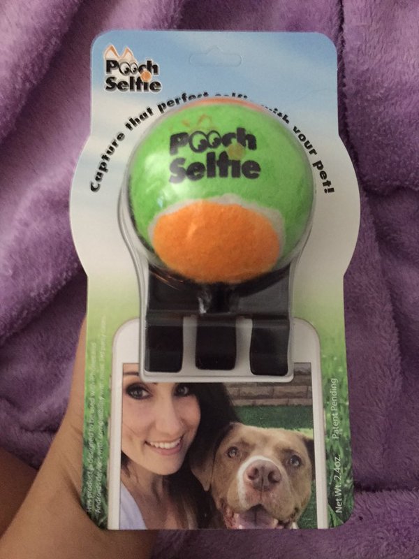 Pooch Selfie - Thiết bị "tự sướng" dành cho cún cưng