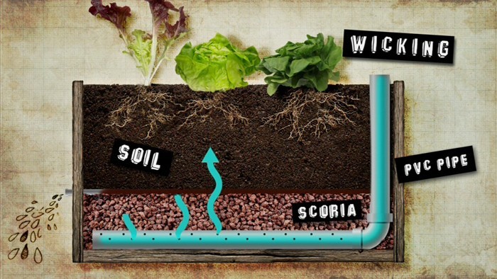 Wicking bed – Hệ thống tưới nước tự động nhờ sự thấm hút cho vườn rau nhà bạn