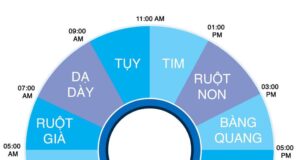 Hiểu hoạt động của cơ thể trong 24 giờ, bạn sẽ rút ra một chế độ ăn uống và ngủ nghỉ hợp lý