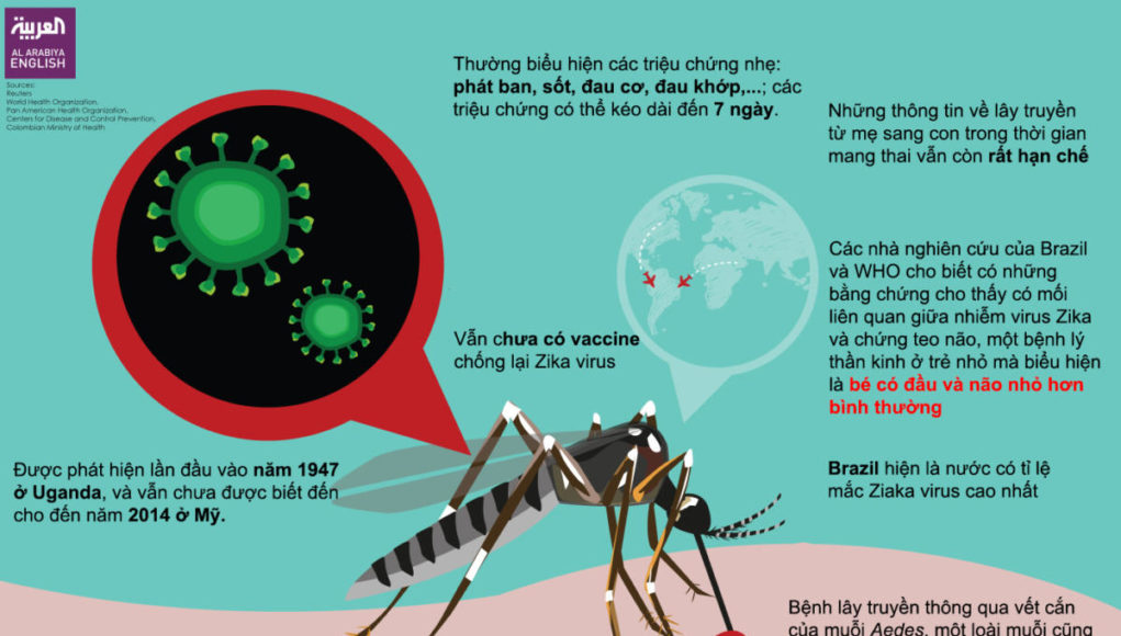 Virus Zika vào Việt Nam, phụ nữ mang thai nên làm gì?