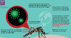 Virus Zika vào Việt Nam, phụ nữ mang thai nên làm gì?