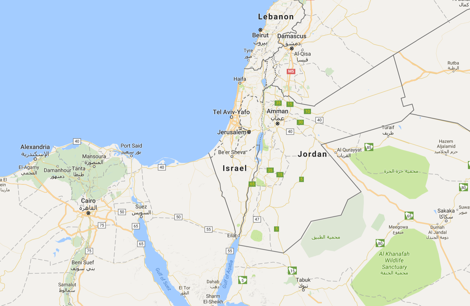 google-xoa-ten-palestine-tren-google-maps