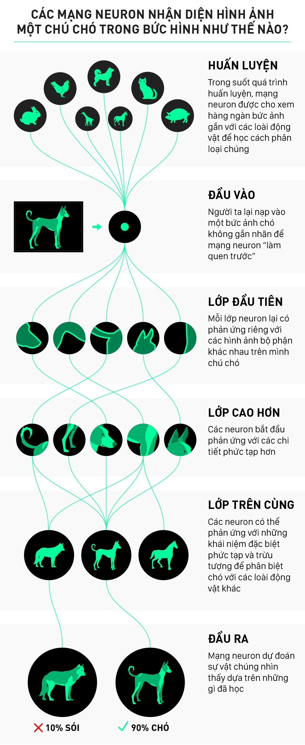 Tìm hiểu về công nghệ đang giúp cả thế giới phát triển với tốc độ chưa từng thấy trong lịch sử loài người - Ảnh 6.