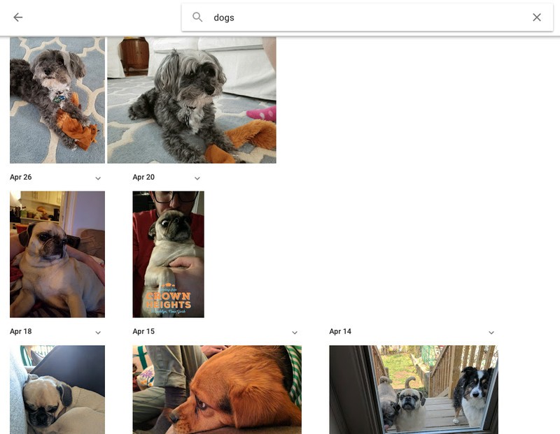 Hướng dẫn sử dụng dịch vụ Google Photos lưu trữ toàn bộ kho ảnh của bạn