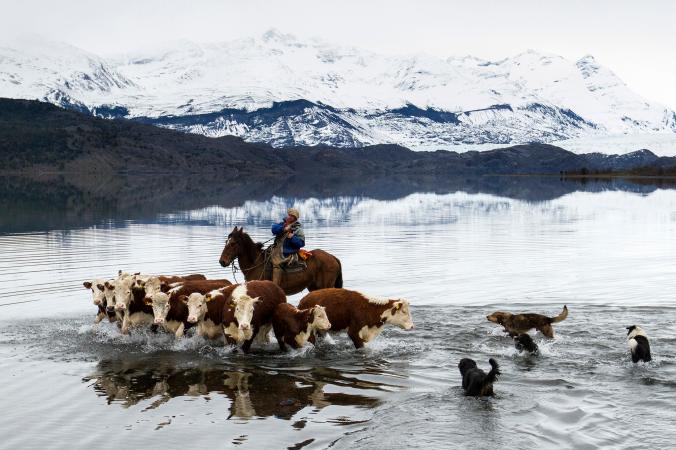 Bộ ảnh đẹp nhất tuần 1, tháng 8 của NatGeo: Đó là một thế giới làm việc