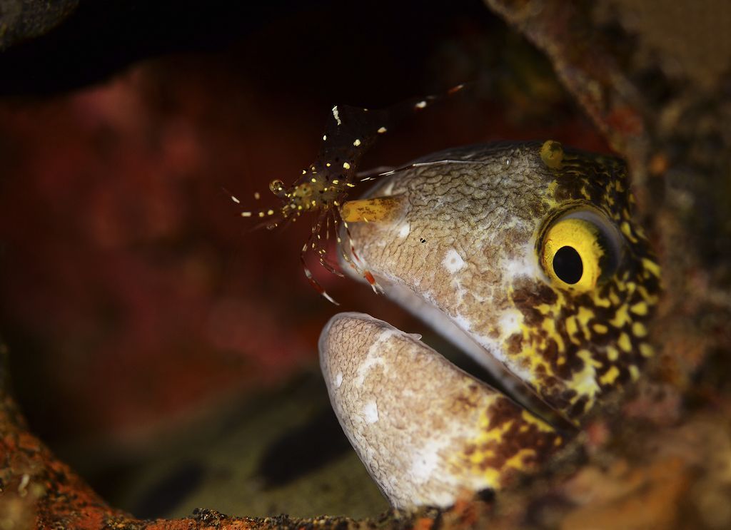 Đẹp ngỡ ngàng với album Photo of the day tuần qua của NatGeo