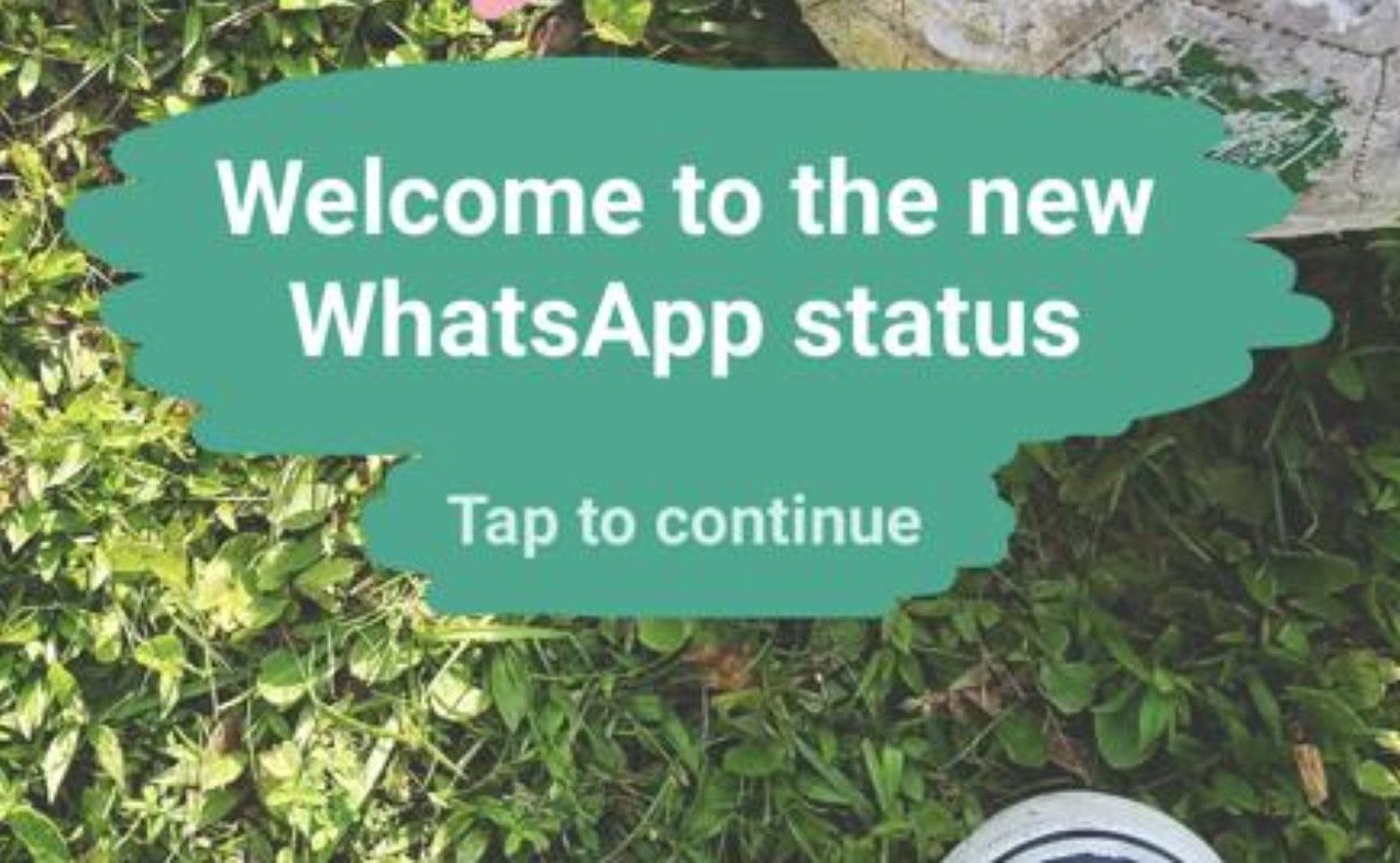 WhatsApp cập nhật màu sắc cho nội dung status