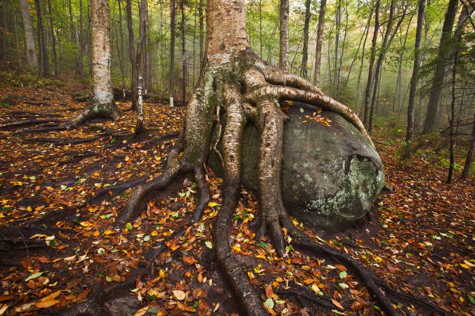 Ngỡ ngàng với bộ ảnh mùa thu tuyệt đẹp của NatGeo