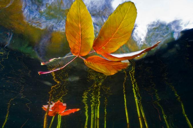 Ngỡ ngàng với bộ ảnh mùa thu tuyệt đẹp của NatGeo