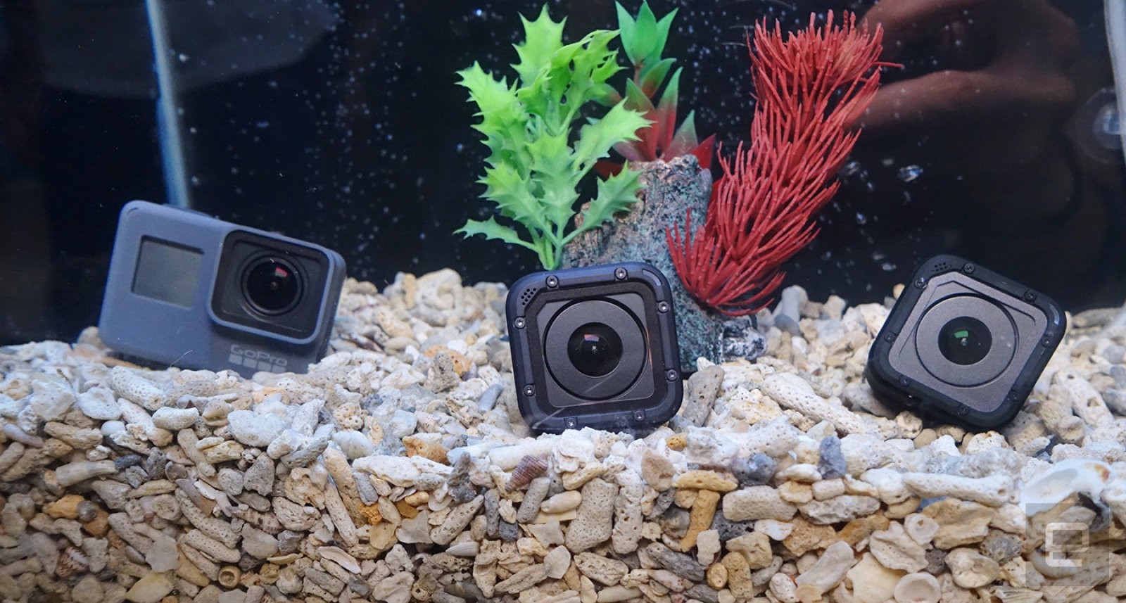 Giám đốc GoPro xác nhận để ngỏ khả năng mở bán công ty