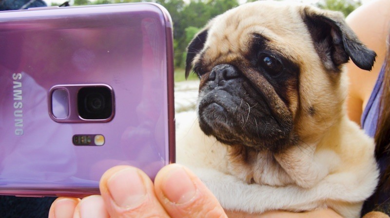 Samsung hợp tác cùng BuzzFeed và The Dodo, đăng tải các video quay chậm từ Galaxy S9 và S9+