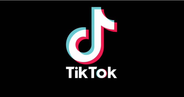 TikTok gặp nguy cơ bị cấm tại Ấn Độ vì nội dung xấu