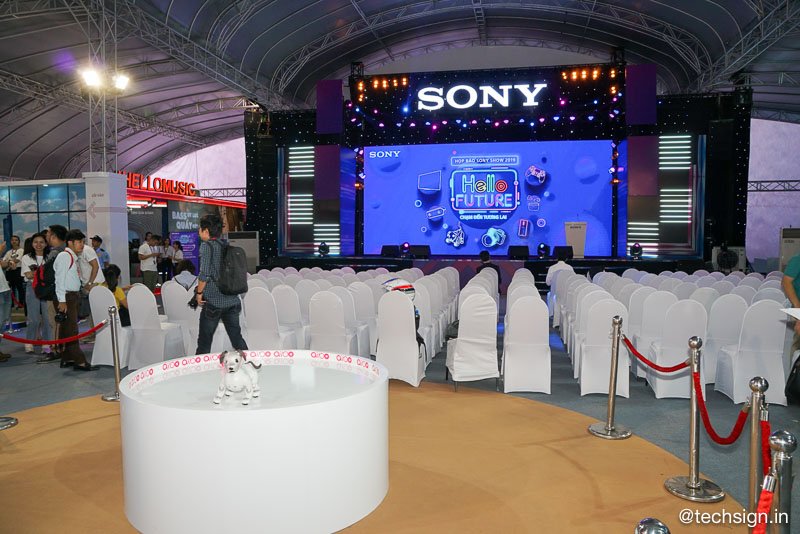 Hàng trăm bạn trẻ xếp hàng chờ đón sự kiện Sony Show 2019