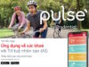 Ra mắt ứng dụng chăm sóc sức khỏe Pulse by Prudential