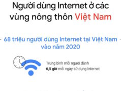 Infographic báo cáo 'Việt Nam: Tìm kiếm cho Ngày mai' 2020 từ Google