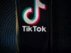 TikTok ra mắt tính năng hỗ trợ người dùng mắc chứng động kinh cảm quang