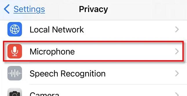 Cùng kiểm tra xem ứng dụng nào đang truy cập vào microphone iPhone của bạn