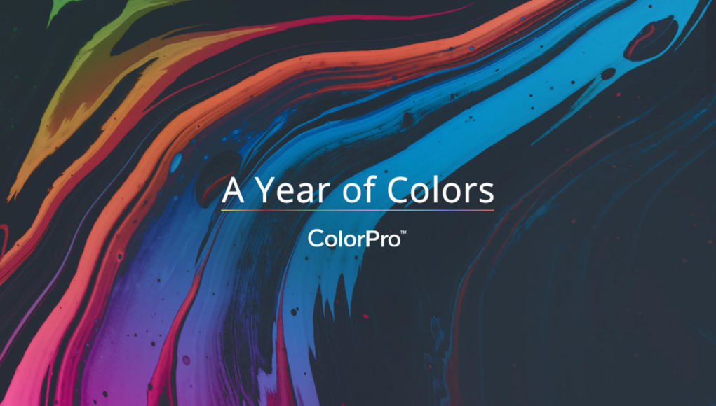 Viewsonic công bố cuộc thi ảnh toàn cầu với chủ đề 'A Year of Colors'