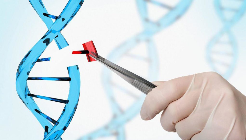 Anh thử nghiệm xét nghiệm DNA chẩn đoán nguy cơ bệnh tim