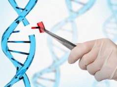 Anh thử nghiệm xét nghiệm DNA chẩn đoán nguy cơ bệnh tim