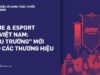 Vero ra mắt nghiên cứu thị trường về thể thao điện tử tại Việt Nam Esports Whitepaper 2021