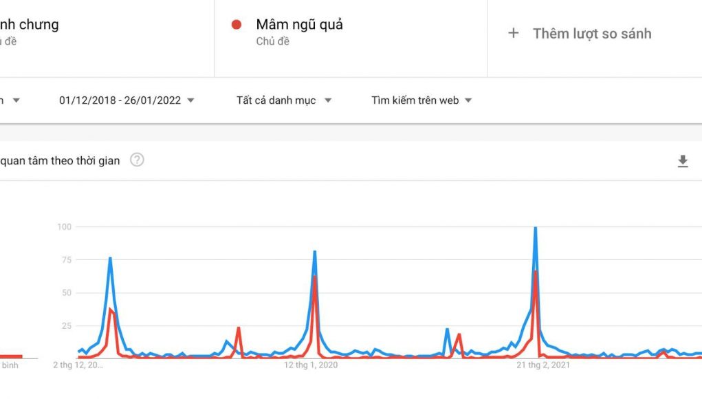 Người Việt tìm kiếm gì vào Tết Nhâm Dần 2022?