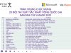 Microsoft công bố 20 đội thi xuất sắc nhất Imagine Cup Junior Việt Nam 2022