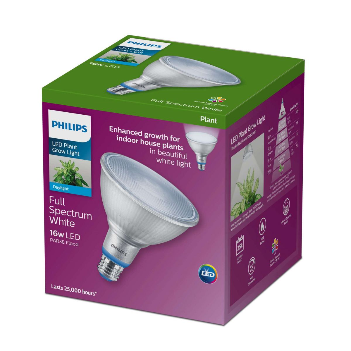 Signify ra mắt đèn LED Philips giúp trồng cây xanh trong nhà