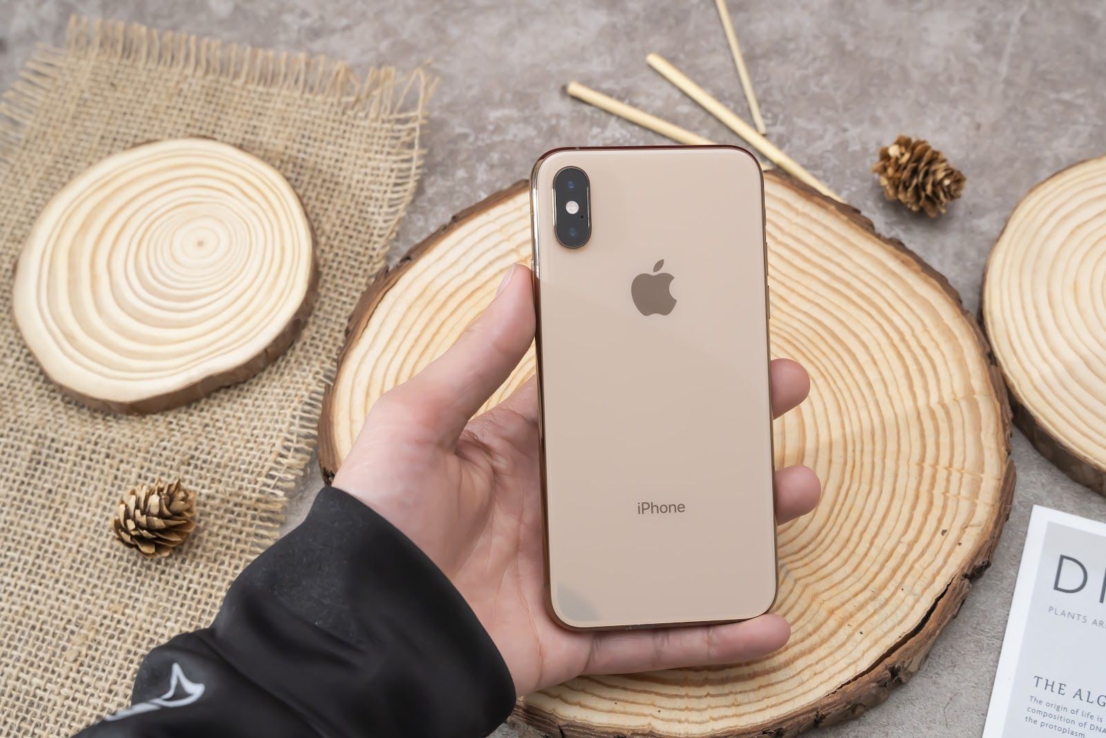 Top 5 iPhone cũ giảm giá sâu nhất dịp Giáng sinh không thể bỏ qua: iPhone 11 Pro Max giảm gần 4 triệu, iPhone 8 chỉ từ 3,59 triệu đồng