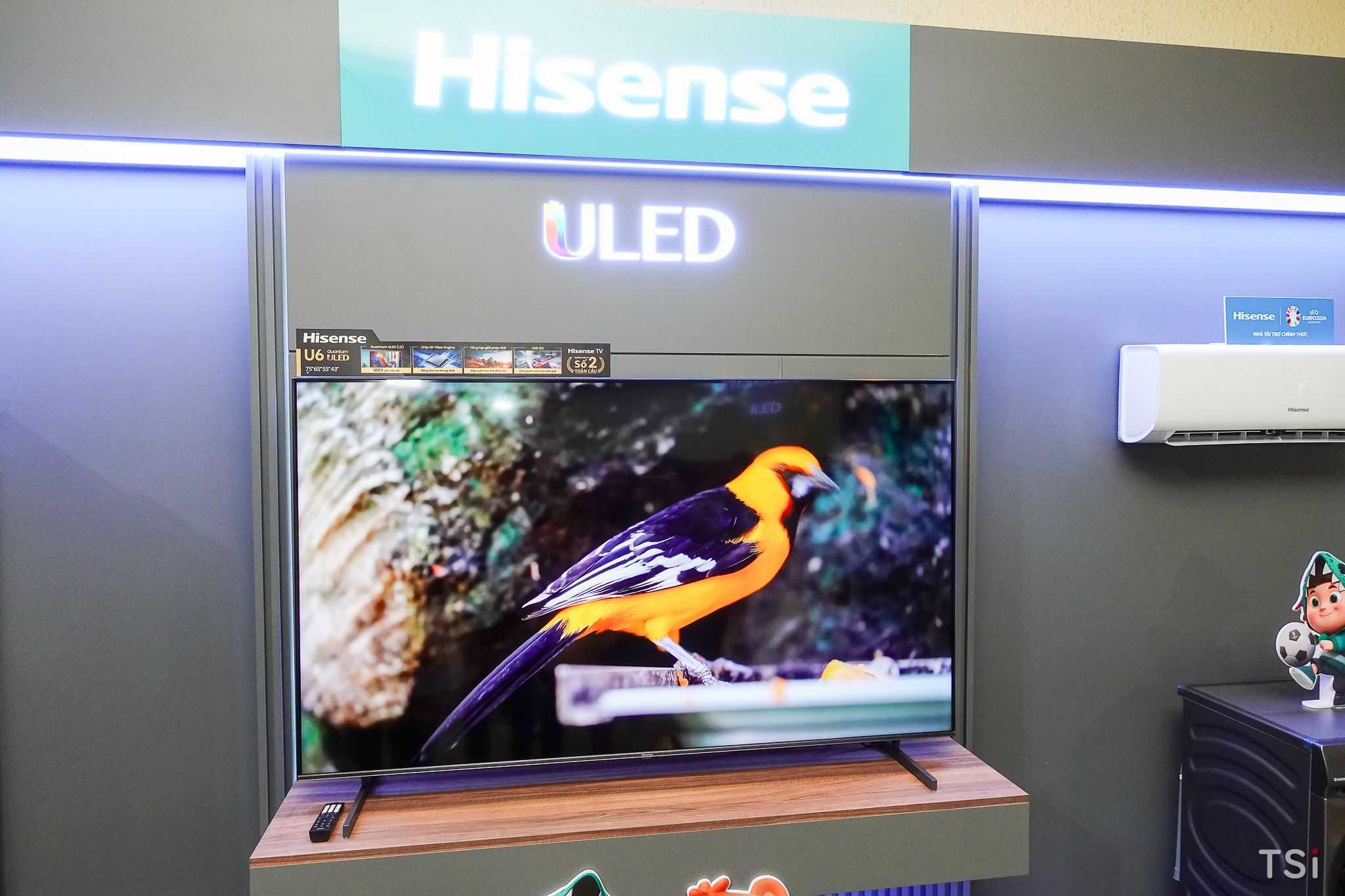 Hisense hợp tác Viettel tài trợ phát sóng chính thức Euro 2024