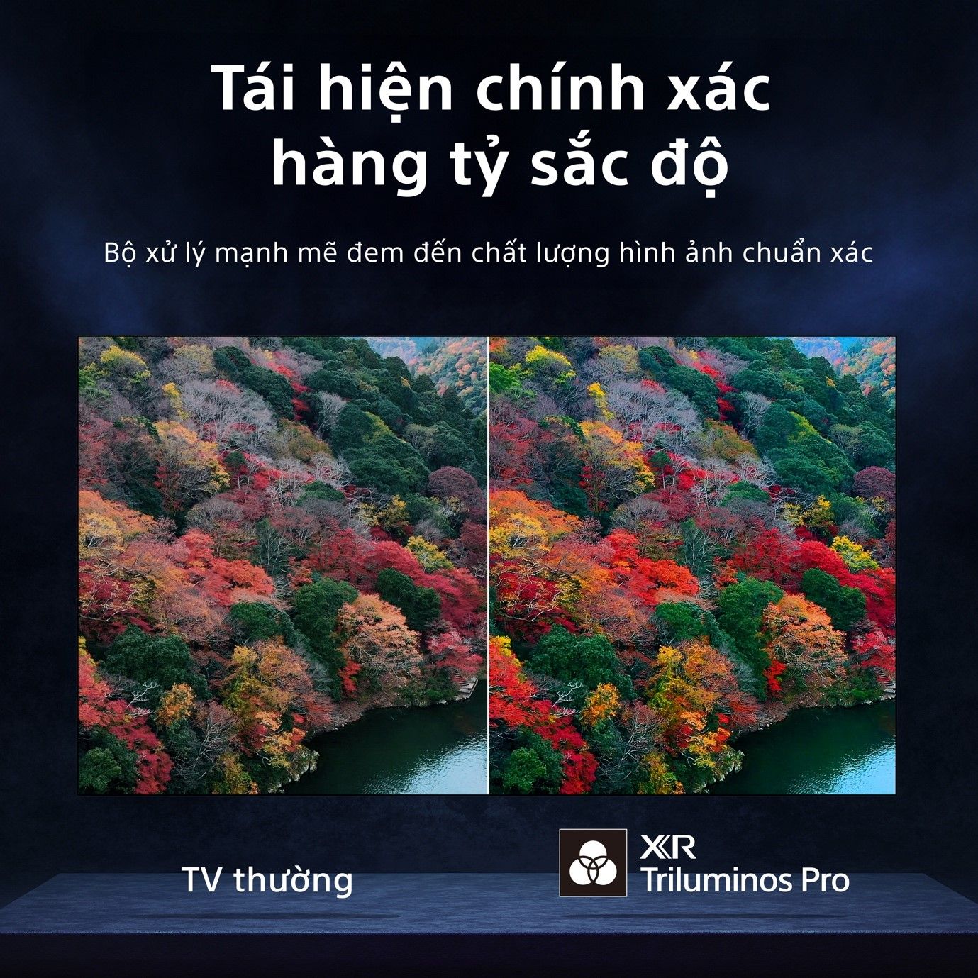 Sony lên kệ bộ đôi TV cao cấp Sony BRAVIA 9 và BRAVIA 8