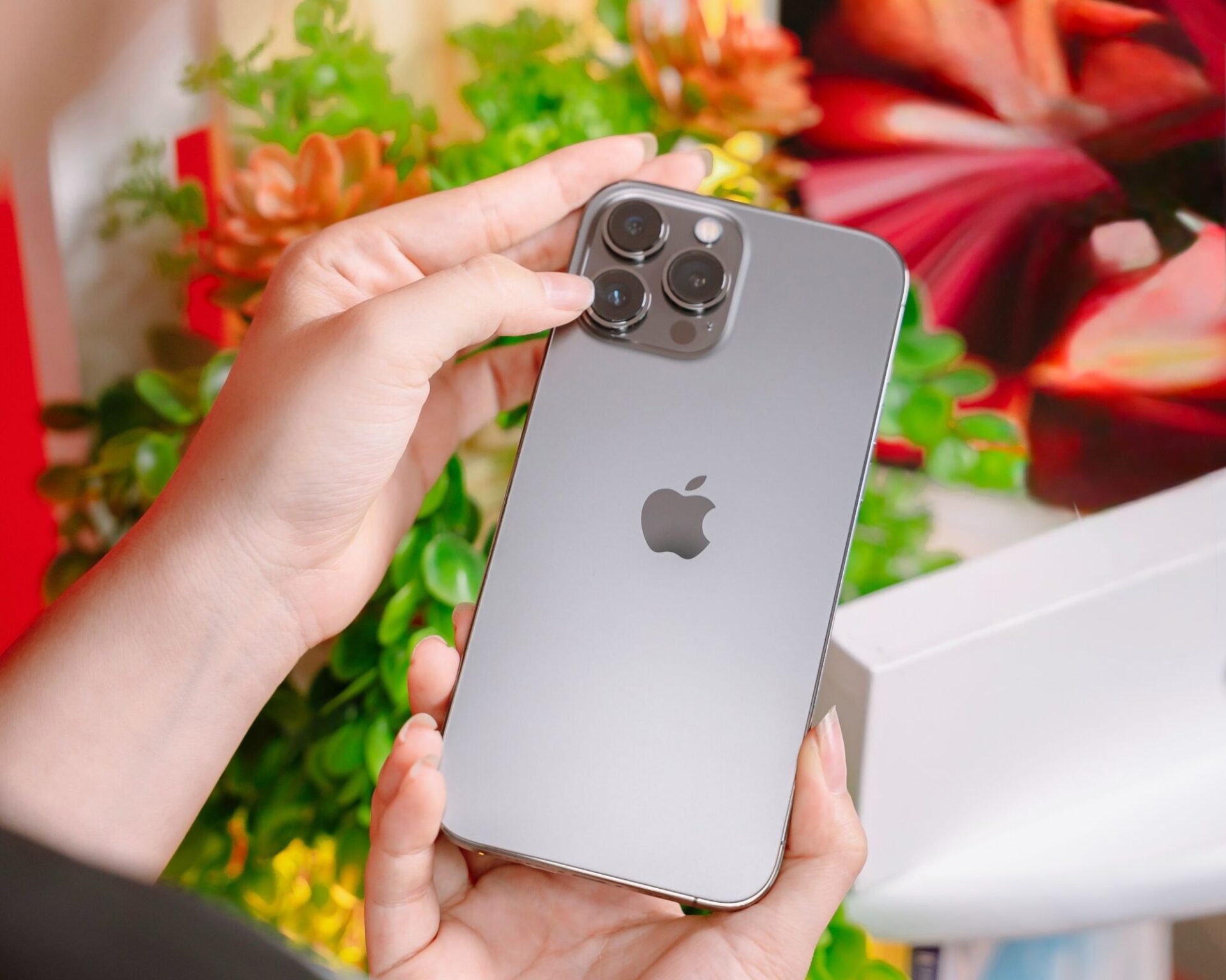 Sắm Tết tiết kiệm với loạt iPhone cũ “ngon - bổ - rẻ” tại Di Động Việt